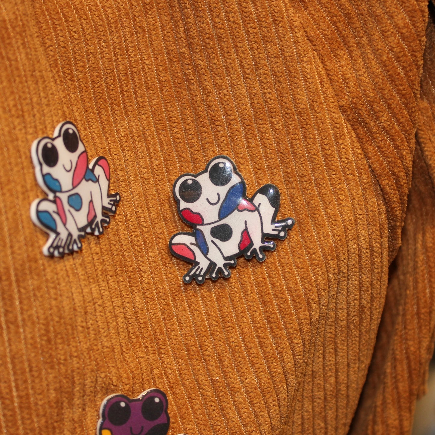 Genderfluid Frog Pin