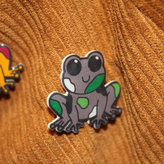 Aromantic Frog Pin