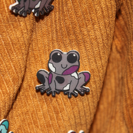Asexual Frog Pin