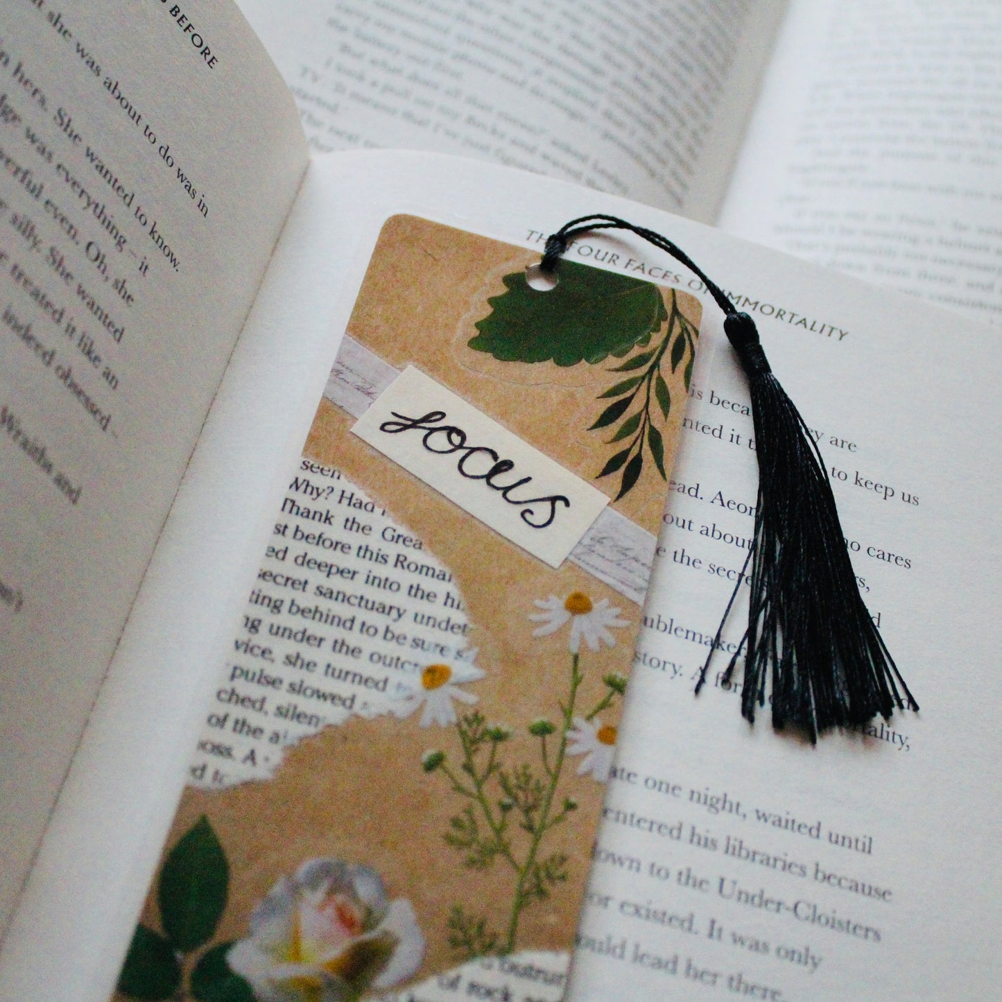 Focus Bookmark